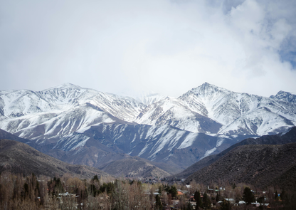 Mountain & Wine