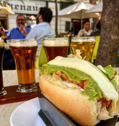 Andes & Wines from Santiago – full day