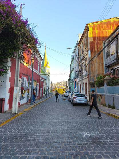Valparaíso & Viña; Art, Coast and Bohemia.