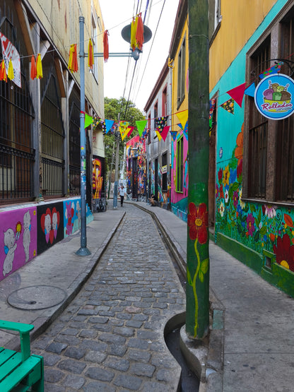 Valparaíso & Viña; Art, Coast and Bohemia.