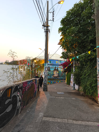 Valparaíso & Viña; Art, Coast and Bohemia.