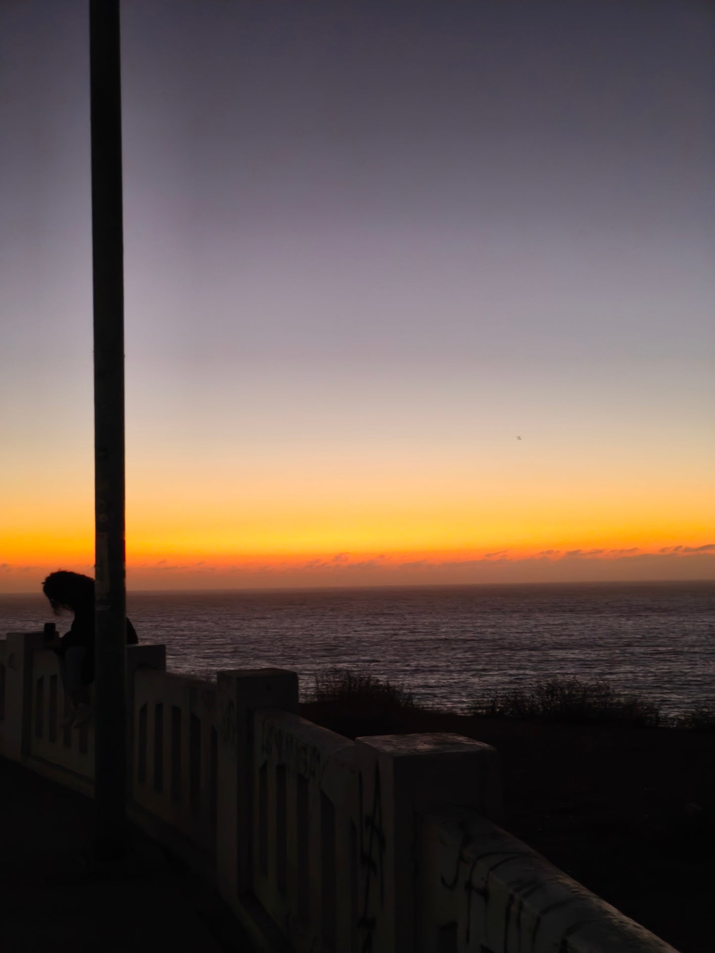 Valparaíso & Viña; Art, Coast and Bohemia.