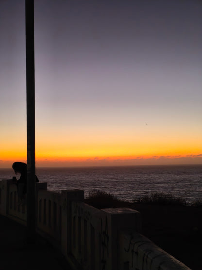 Valparaíso & Viña; Art, Coast and Bohemia.