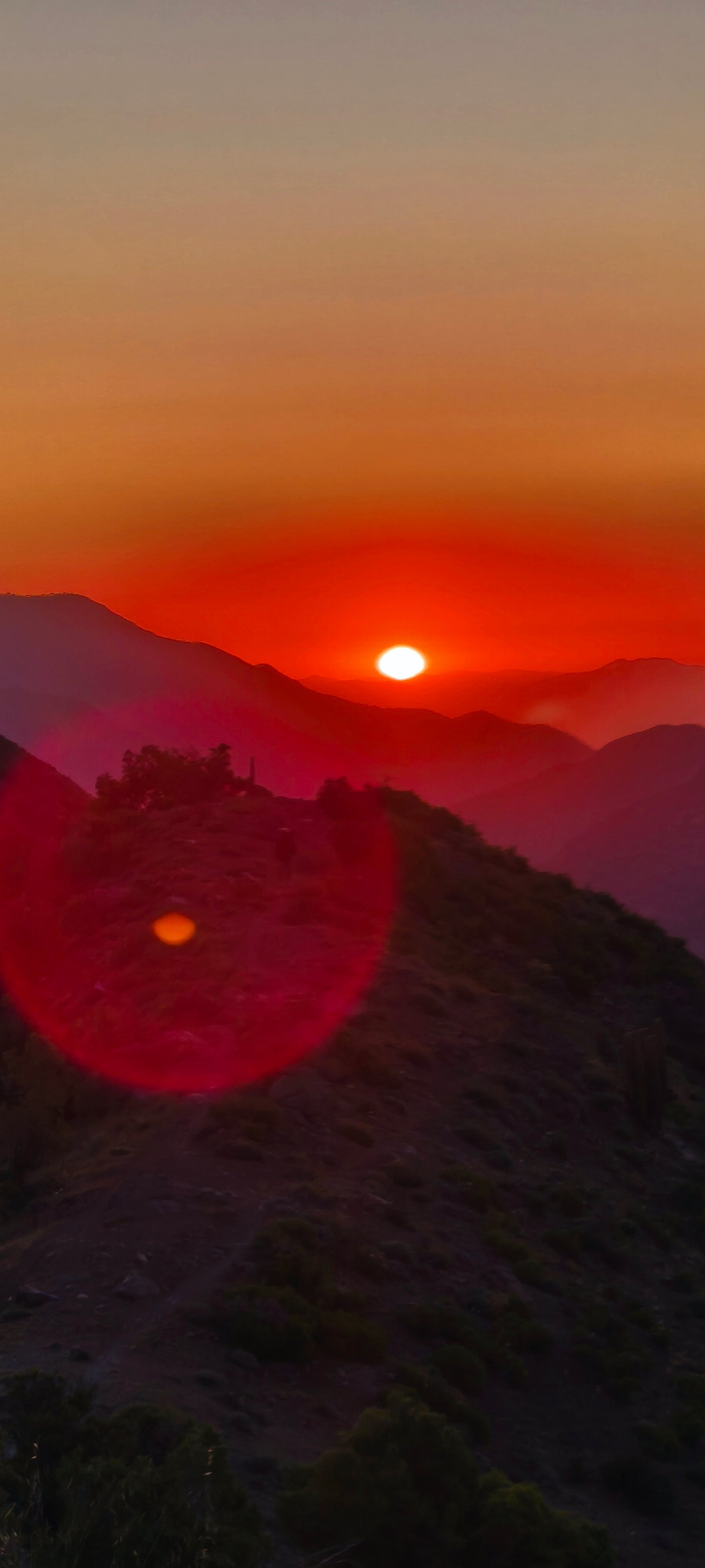 Andes & Wines from Santiago – full day