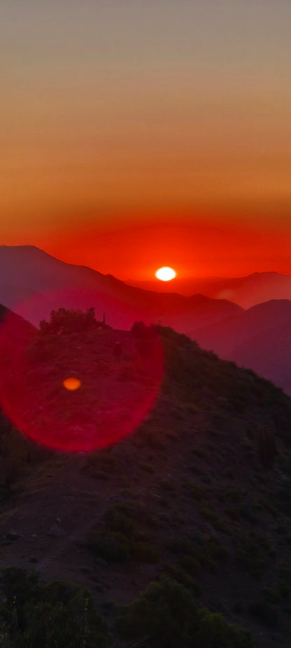 Andes & Wines from Santiago – full day