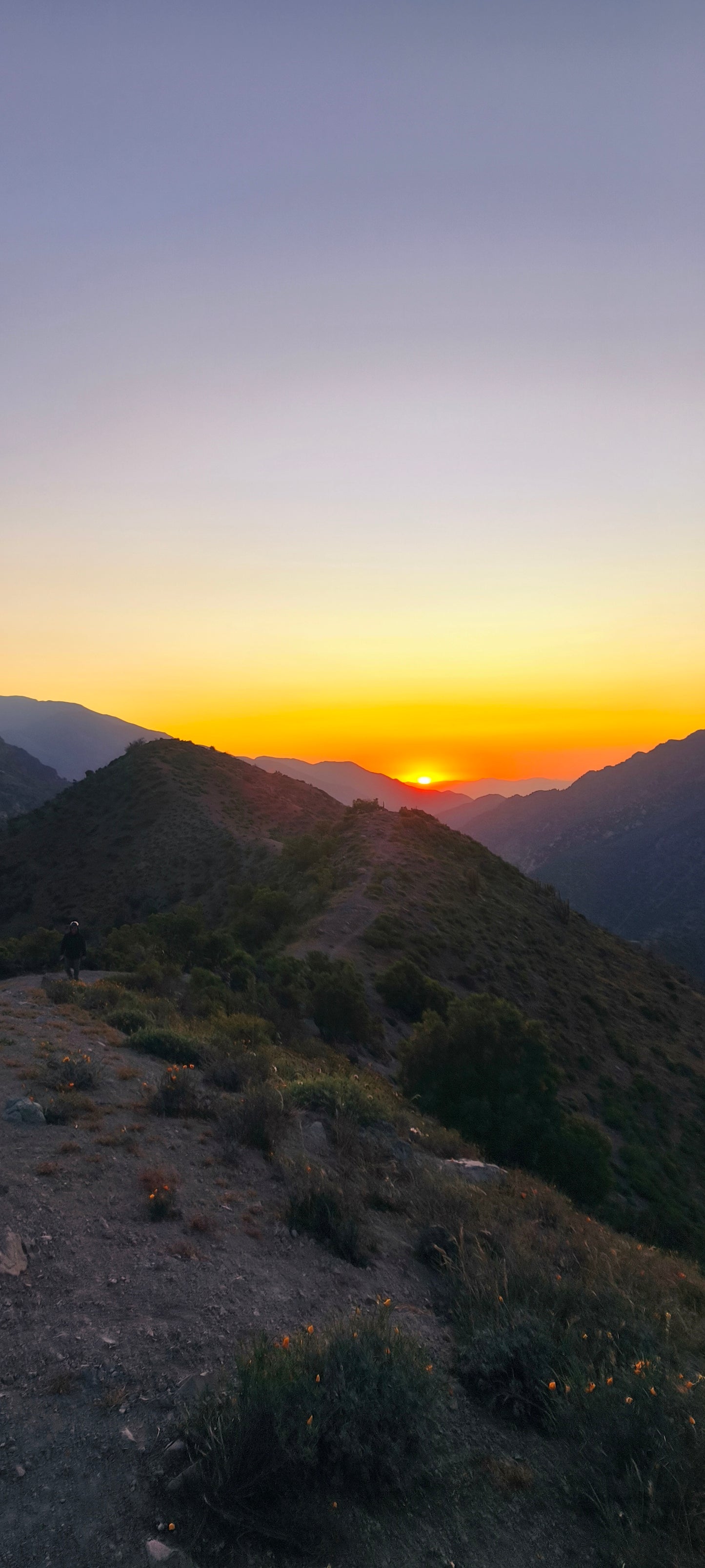 Andes & Wines from Santiago – full day