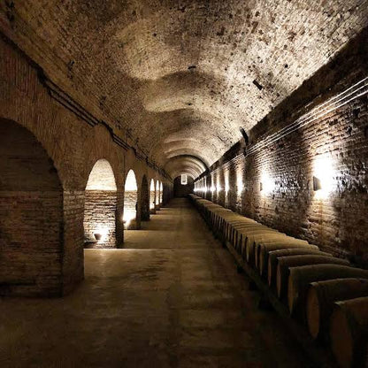 Santiago Through Time & Wine