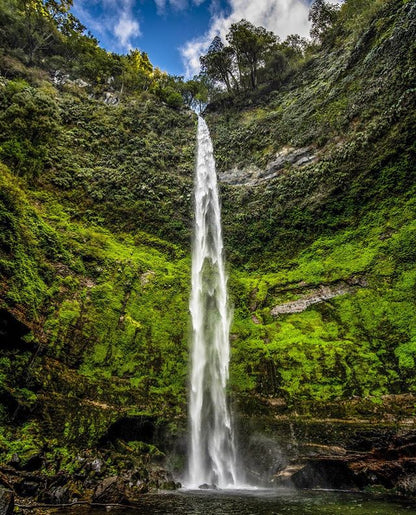 Pucón, Natura e Adrenalina