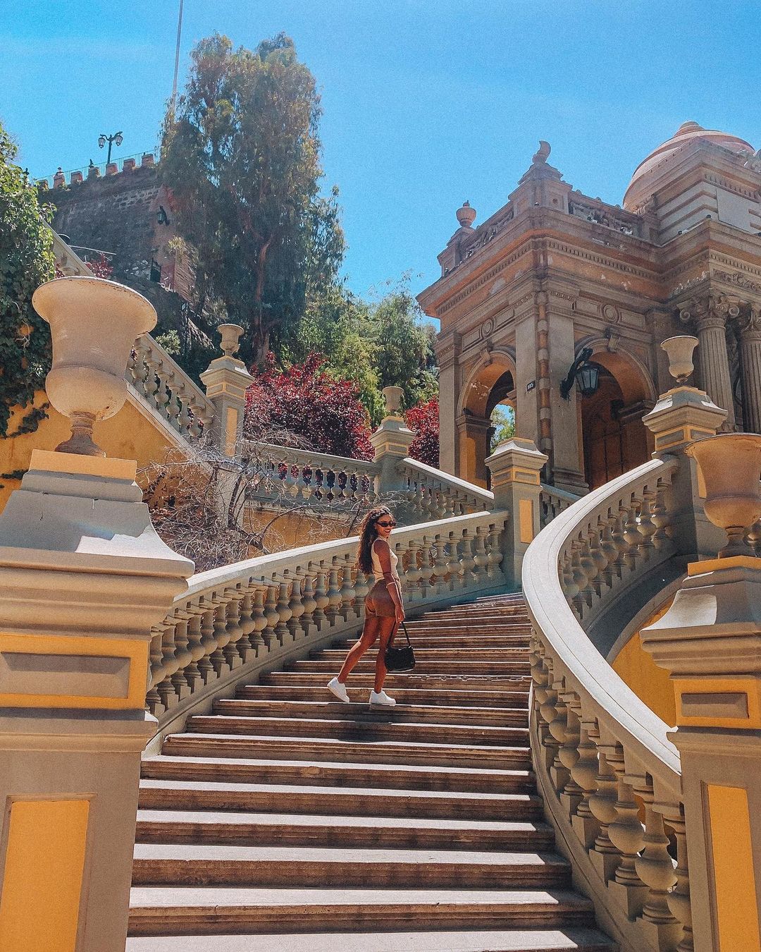 Andes & Wines from Santiago – full day