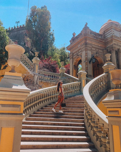 Andes & Wines from Santiago – full day