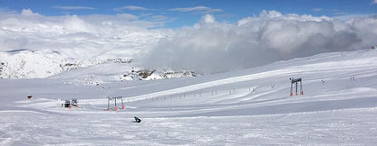 Andes & Wines from Santiago – full day