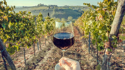 Andes & Wines from Santiago – full day