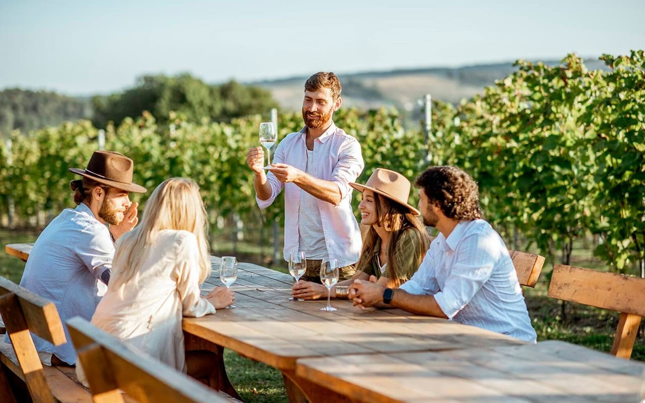 Andes & Wines from Santiago – full day