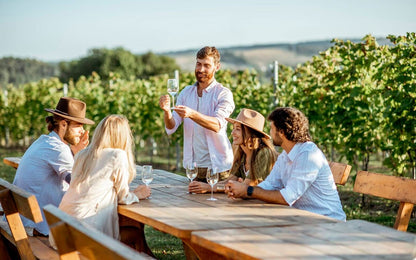 Andes & Wines from Santiago – full day