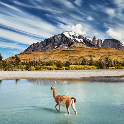 Torres del Paine